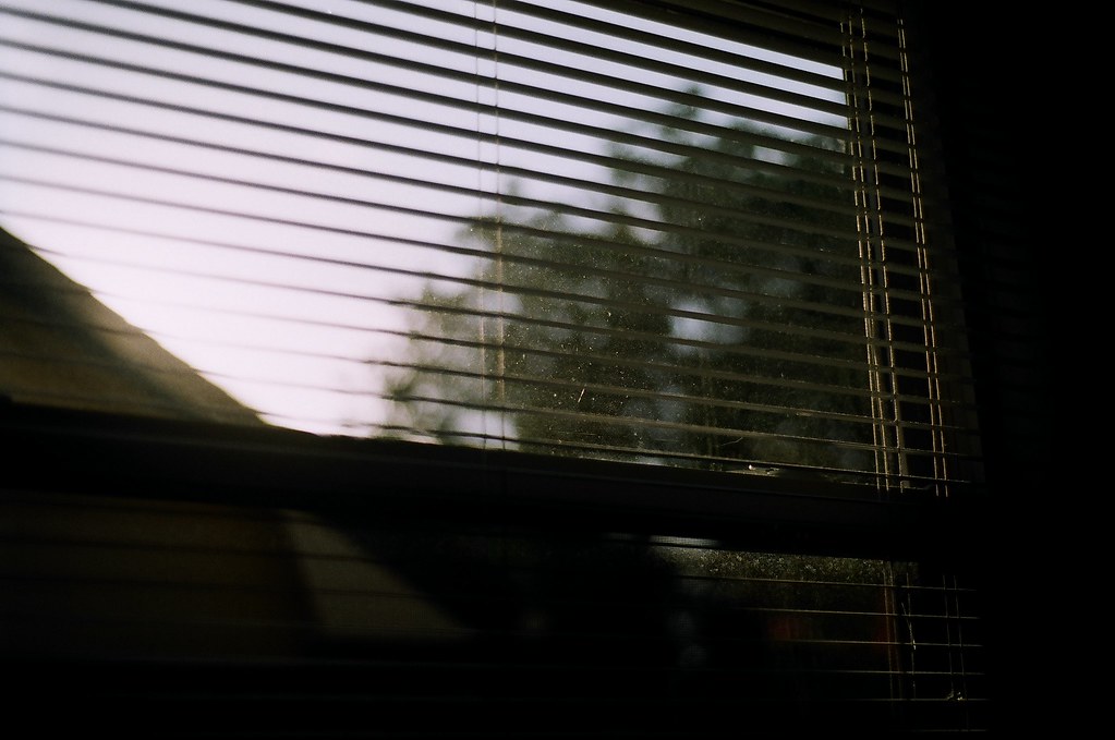 Bedroom Window View Taken W/ Nikon EM Zach Weingart Flickr