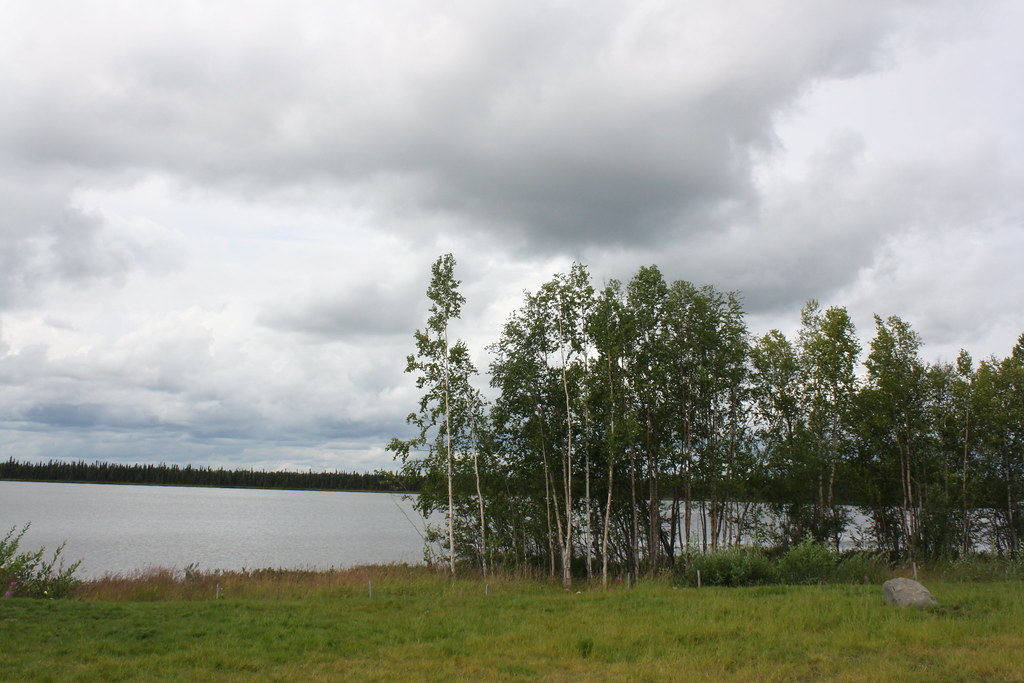 Willow Lake, Alaska Momma and Family Flickr