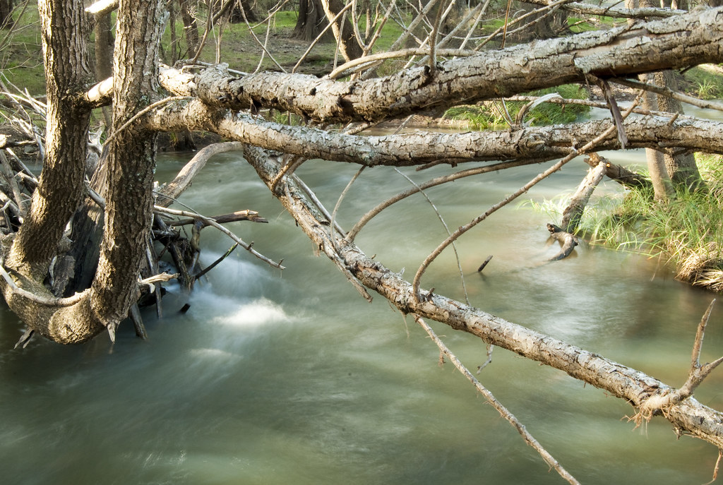 Abercrombie National Park My Favorite photo. On the river … Flickr