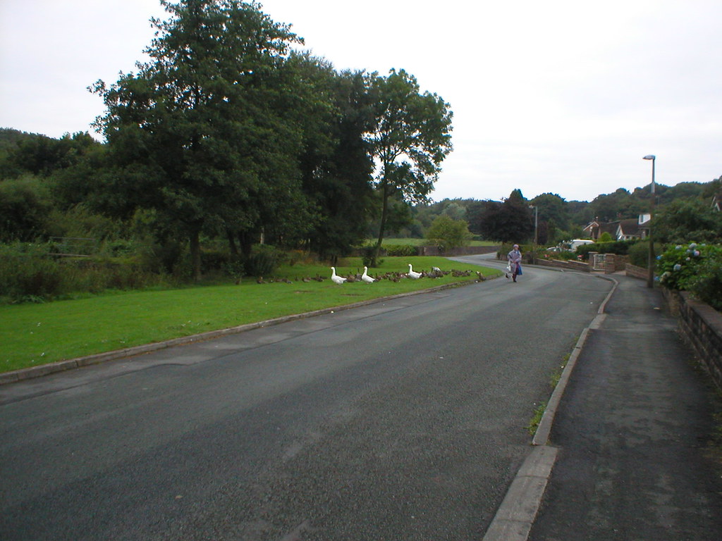 100WIL Lodge Bank, Brinscall Walking Pictures Flickr