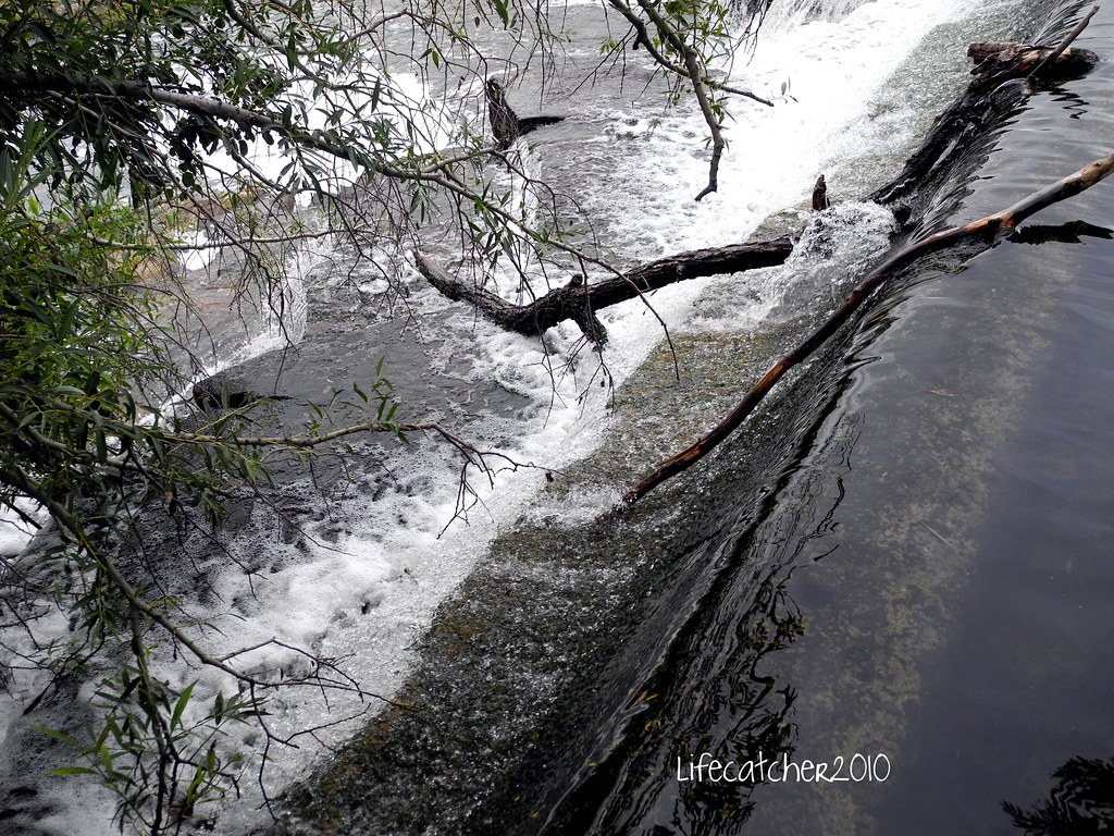 fallen waters almonte,ontario lifecatcher2010 Flickr