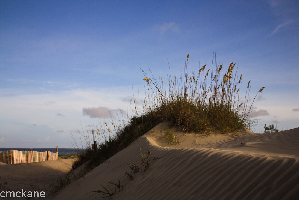 untitled2.jpg Cee McKane Flickr