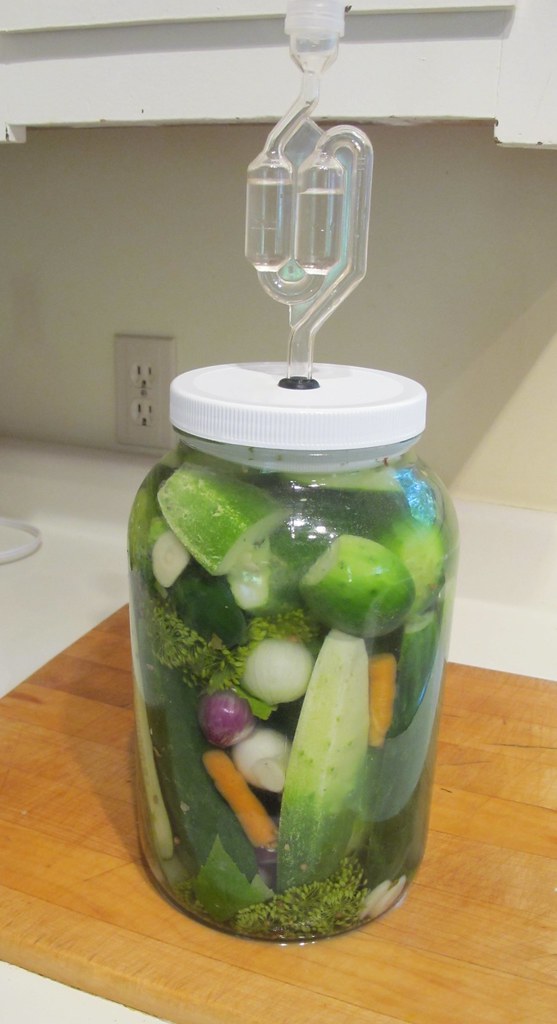 Making lactic acid fermented dill pickles in the picklemei… Flickr