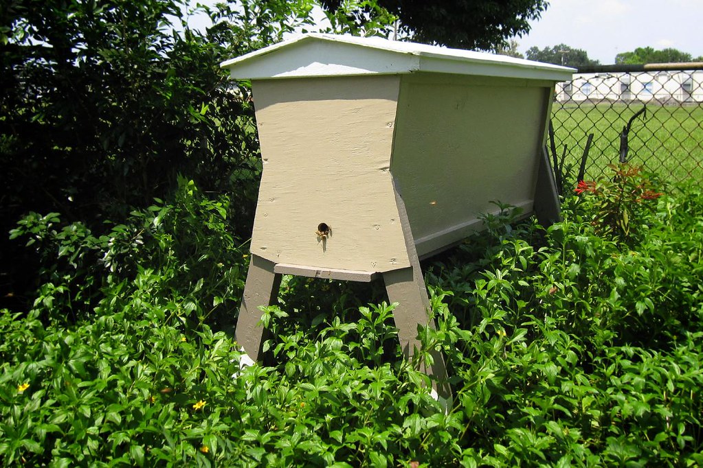 Top Bar Hive In Place Billy Flickr