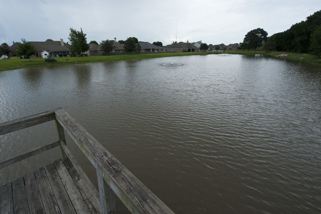 Copper Meadows Lake Youngsville Louisiana Coldwell Banker Pelican