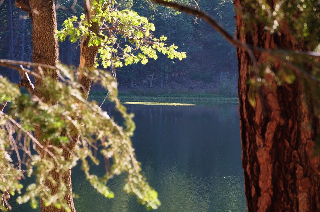 2011 08 21 Jenks Lake, Barton Flats, CA 069 Doug Carlson Flickr