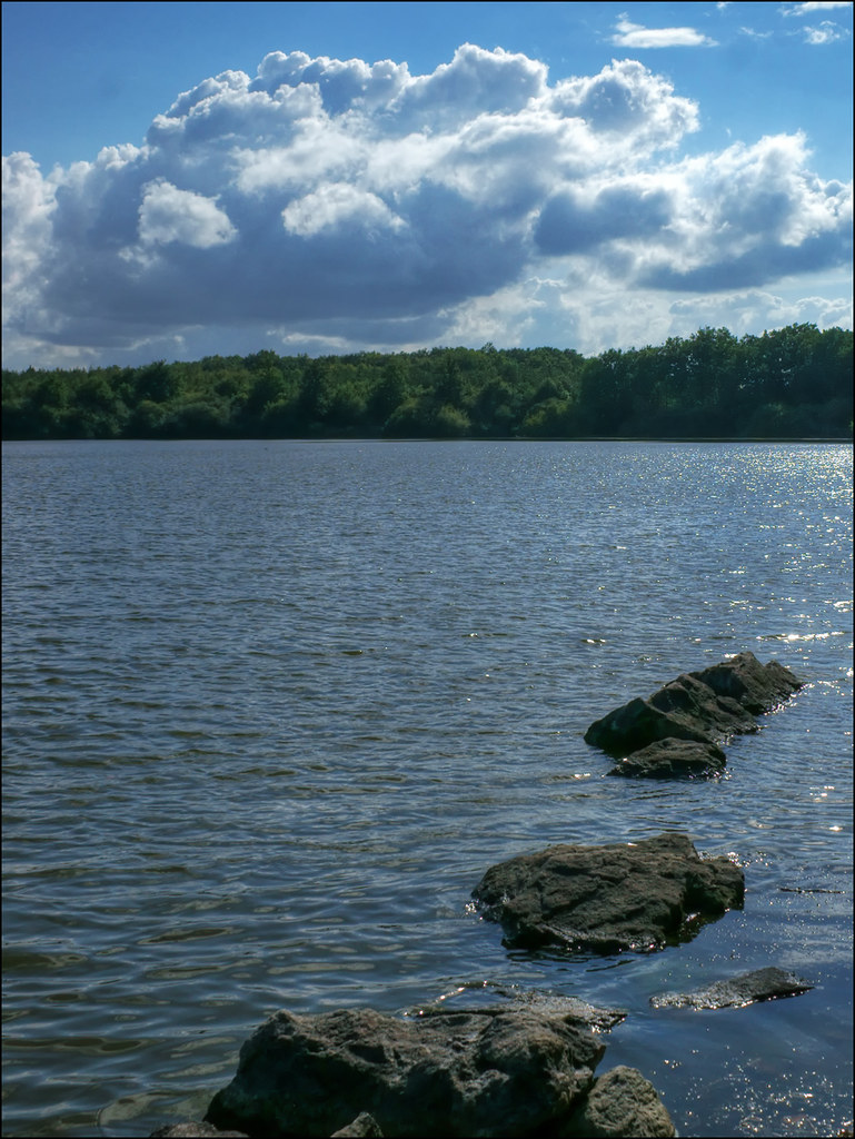 Etang de la Mer Rouge Camera DSLRA390 Exposure 0.001 se… Flickr