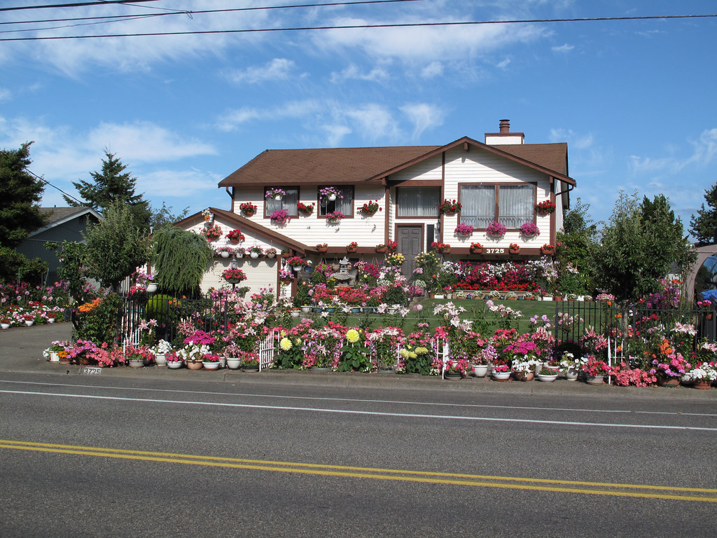 Flower House in To read more, go to blog.firsttries… Flickr