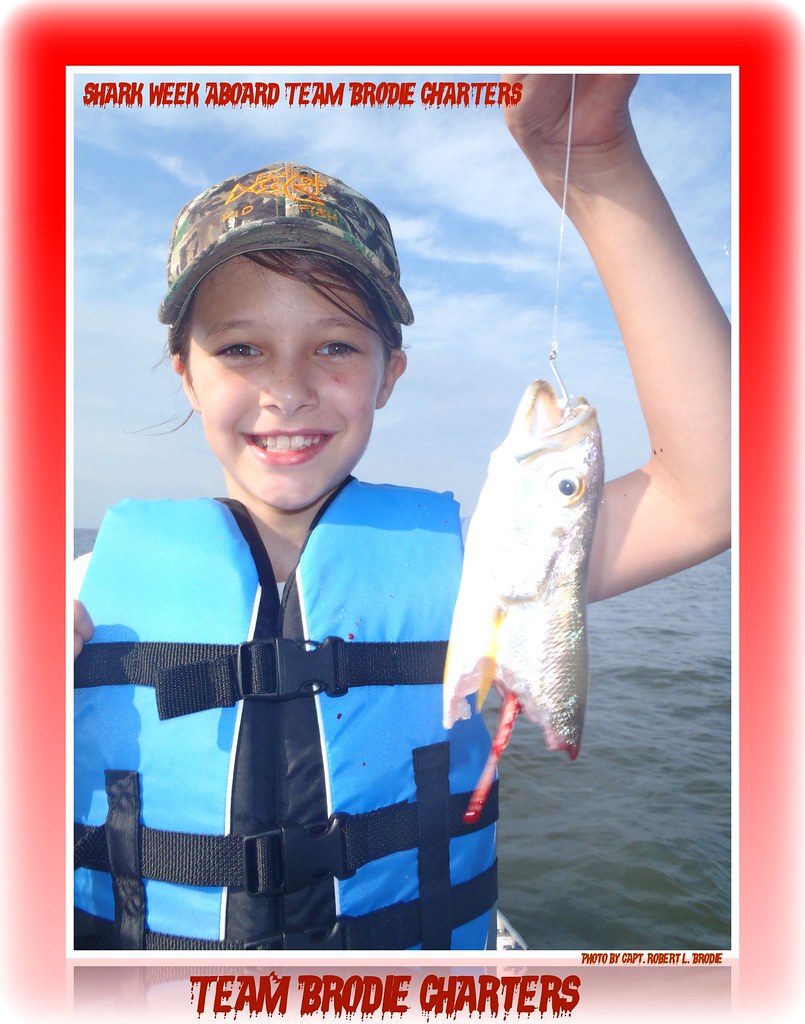 SHARK FISHING IN BILOXI MISSISSIPPI BILOXI MISSISSIPPI N… Flickr