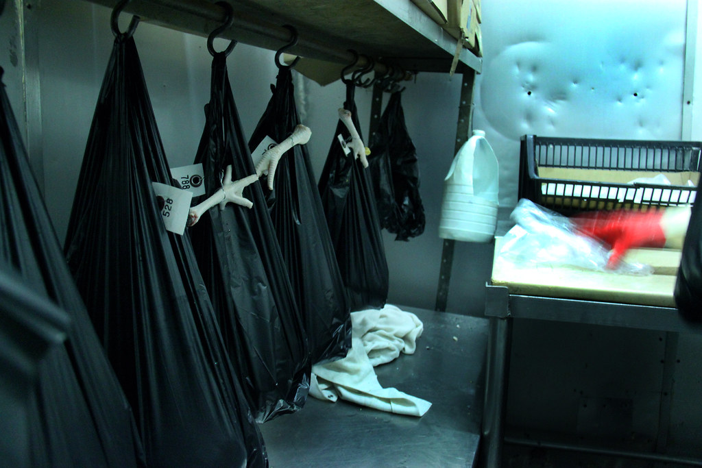 Live Poultry Washed, cut, and packaged chickens sit waitin… Flickr