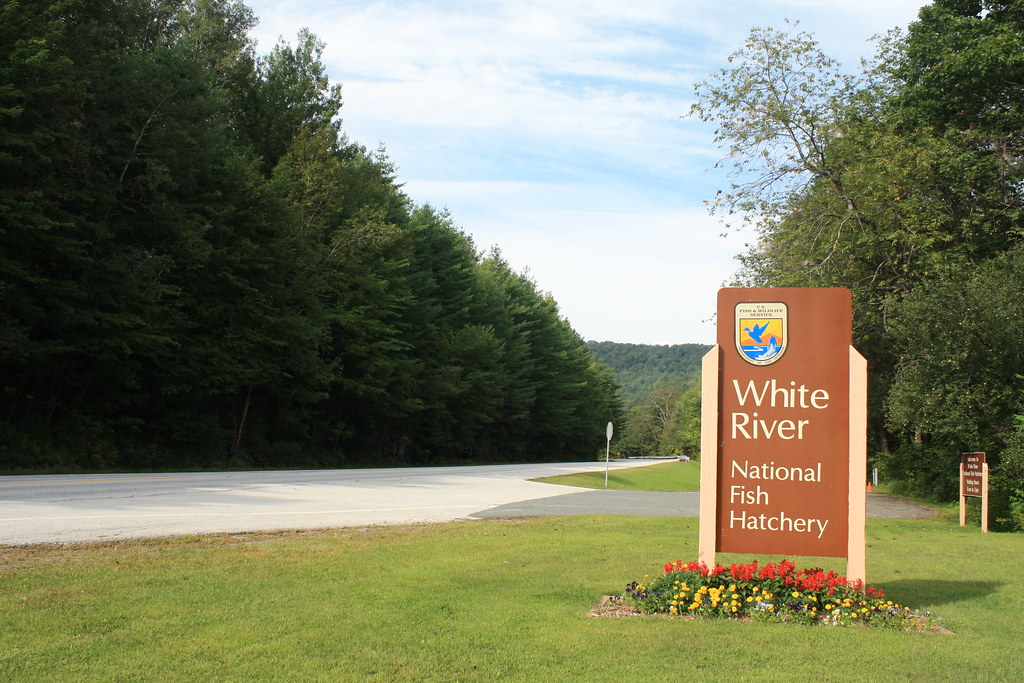 White River National Fish Hatchery entrance Entrance to Wh… Flickr