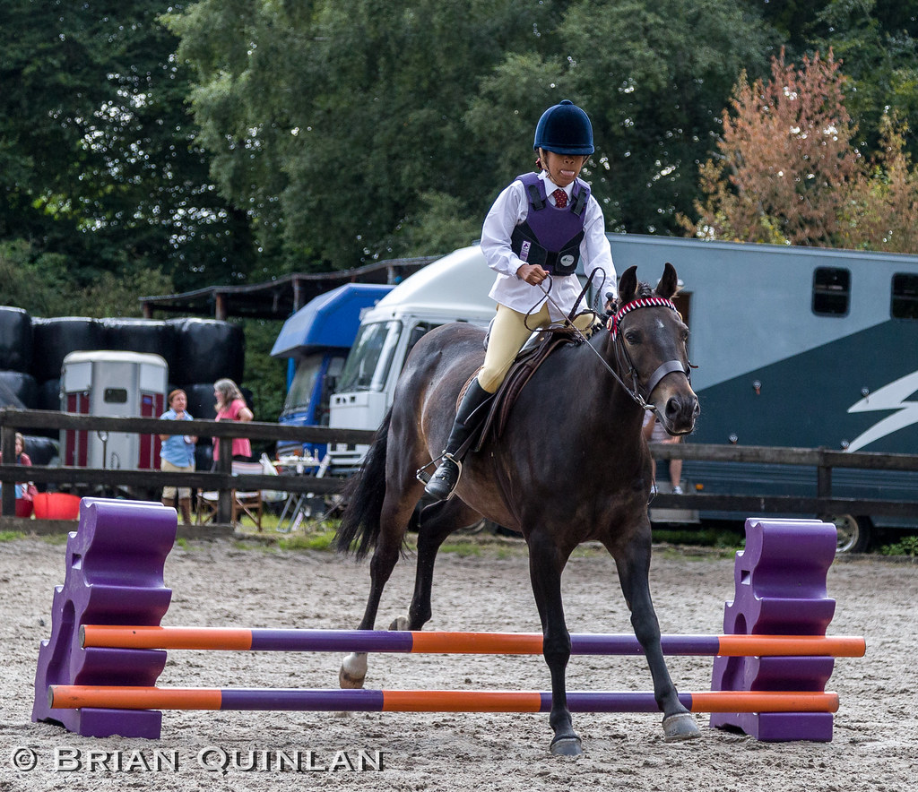 20150816BQ__0915.jpg Atherton Old Hall Farm Charity Fun S… Flickr