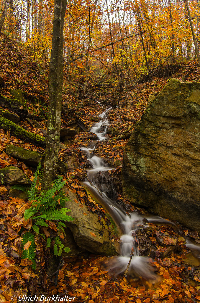 Elevation of Kentucky, KY, Hazard, KY, USA Topographic Map