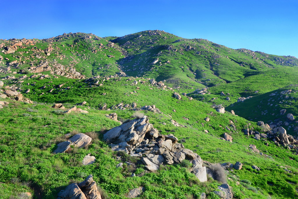 Lush Green winter hills of Box Springs Mountain Park, Rive… Flickr