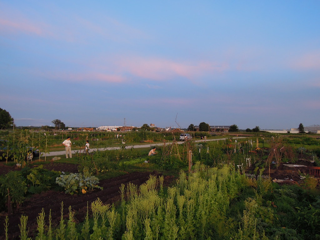 purdue village gardens Stephanie Schmitz Flickr