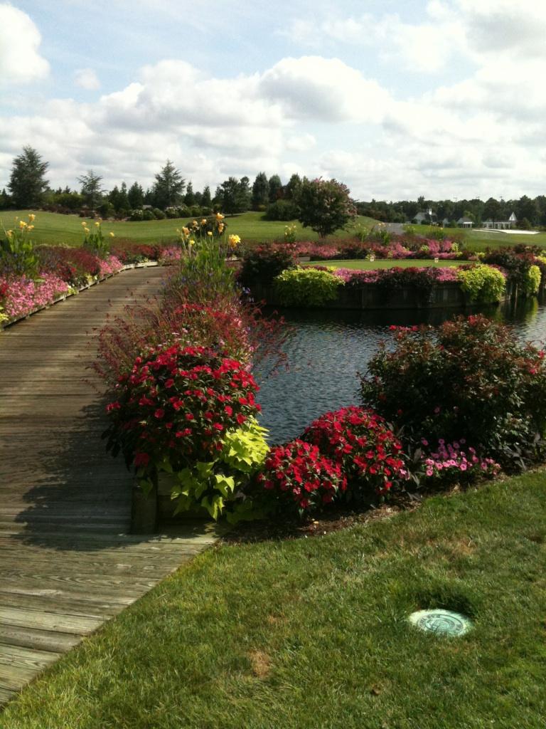 Baywood Greens Long Neck, DE Flickr