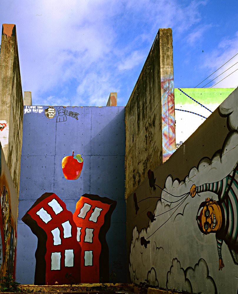 Austin TX, Castle Hill/Baylor Street Street Art 2 Flickr