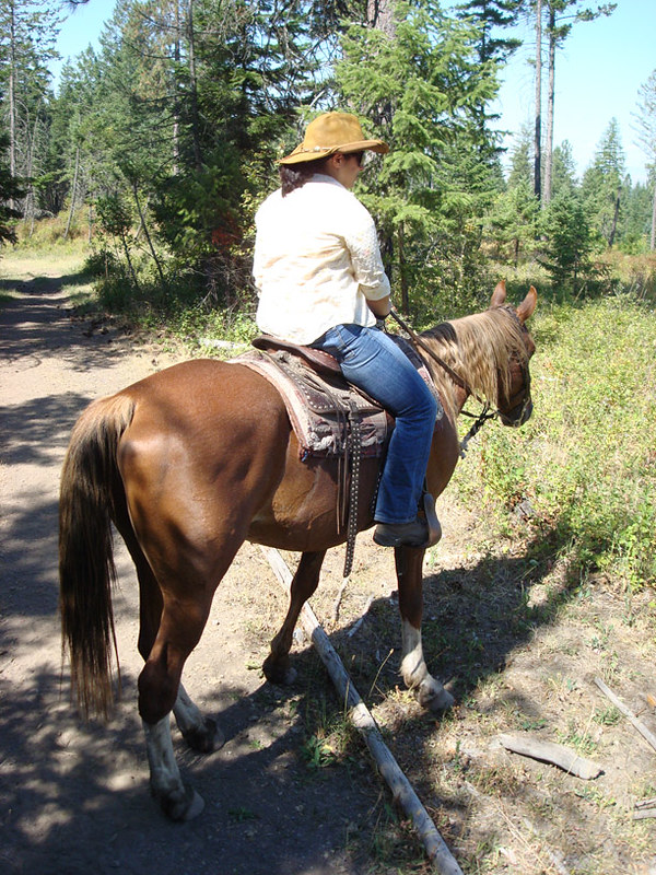 Elevation of Terrace Lake Road, Terrace Lake Rd, Ronan, MT, USA