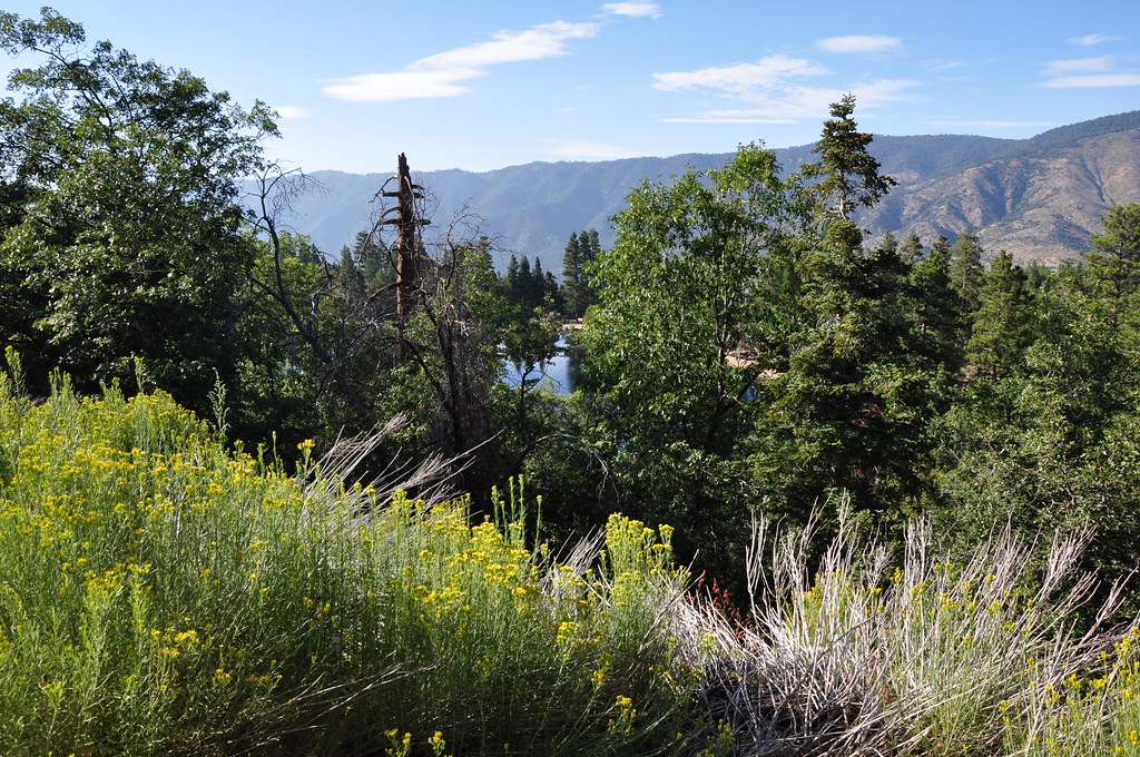 2011 08 21 Jenks Lake, Barton Flats, CA 025 Doug Carlson Flickr