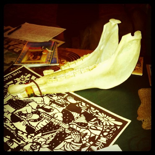 Donkey jawbone used as an percussion instrument Charlie Flickr