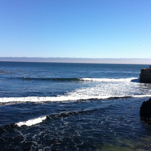 santa cruz low tide Emily Chang Flickr