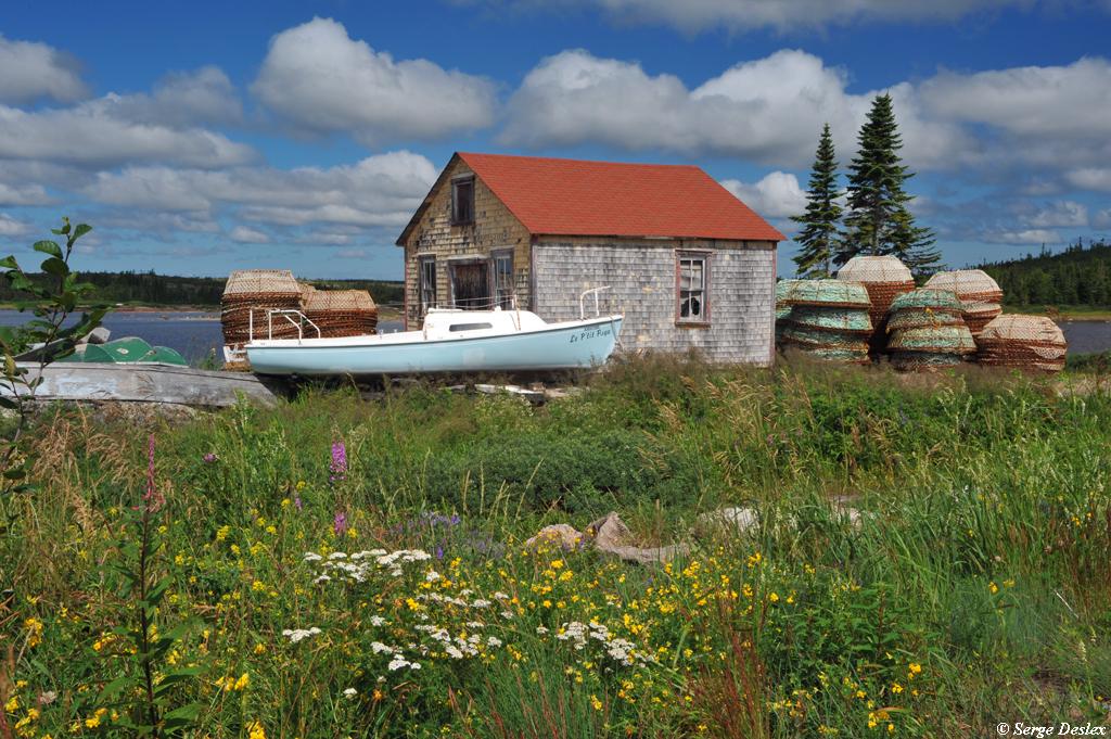 BaieJohanBeetz Serge D. Flickr