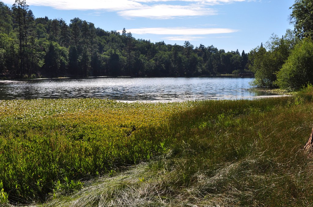 2011 08 21 Jenks Lake, Barton Flats, CA 014 Doug Carlson Flickr