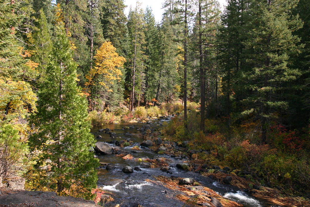 Autumn color along the McCloud River The McCloud River is … Flickr
