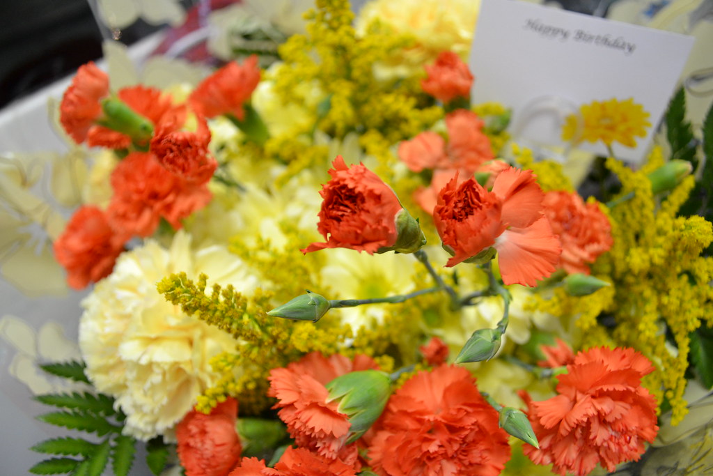 Flowers Kayley Anderson Flickr