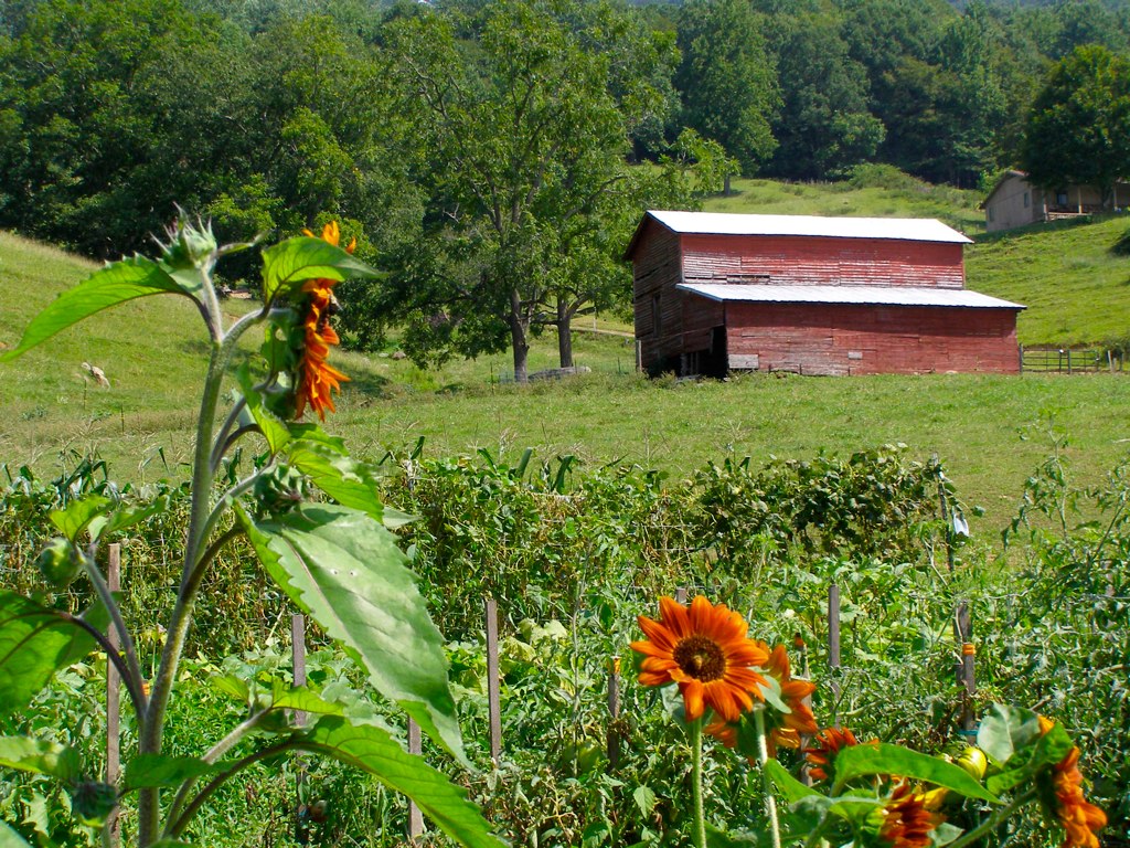 Farm Garden The Dillingham Family Farm, Dillingham, NC, ne… Flickr