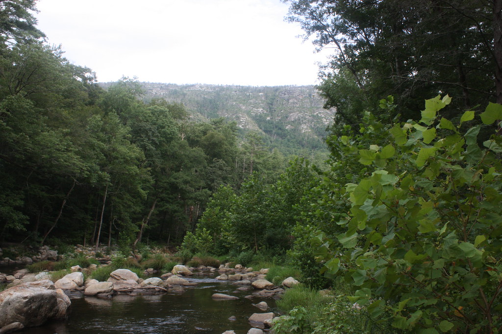 Linville View south along the Linville River, along … Flickr