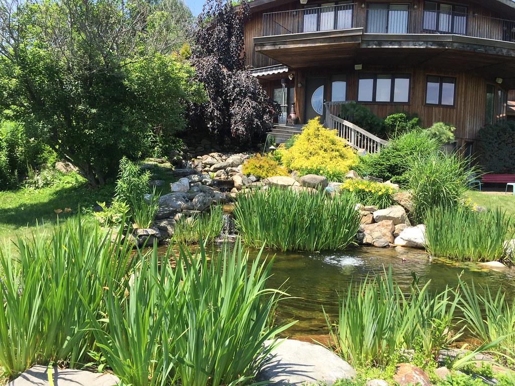 Aquatic Art Technologies Freshwater Ponds