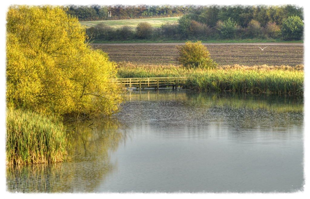 Hardwick Village ford ……….. 28.10.2015. The River Poulter … Flickr