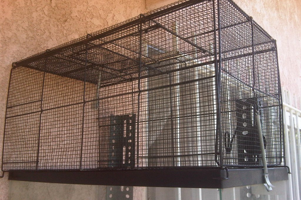 10 gal cage topper for reptiles 20 mykol.2 Flickr