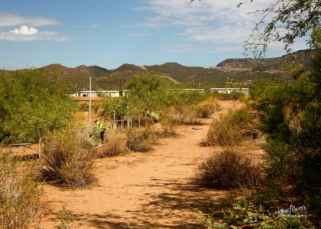 Black Canyon Greyhound Park 08 The track itself is cover… Flickr