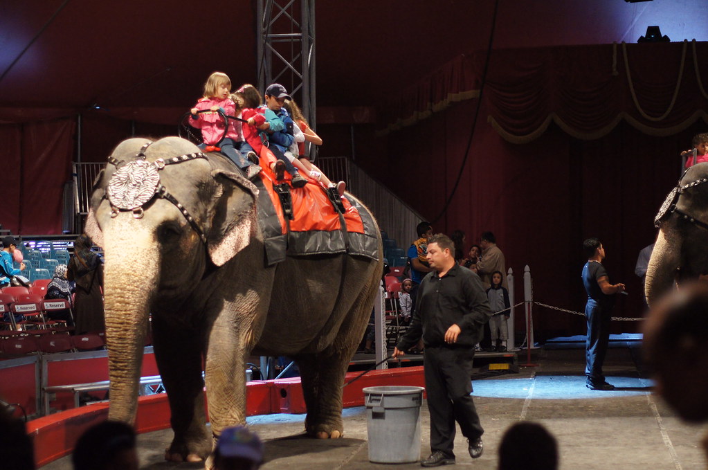 Elephant Rides, Shrine Circus, Cirque des Shriners, Sony A… Flickr