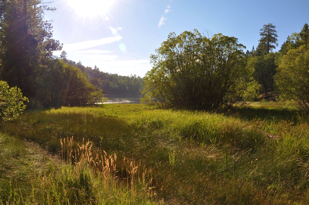 2011 08 21 Jenks Lake, Barton Flats, CA 054 Doug Carlson Flickr