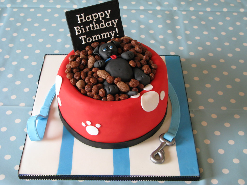 “Dog in a Bowl” Cake 8” cake Dog bowl shaped cake with 3D … Flickr