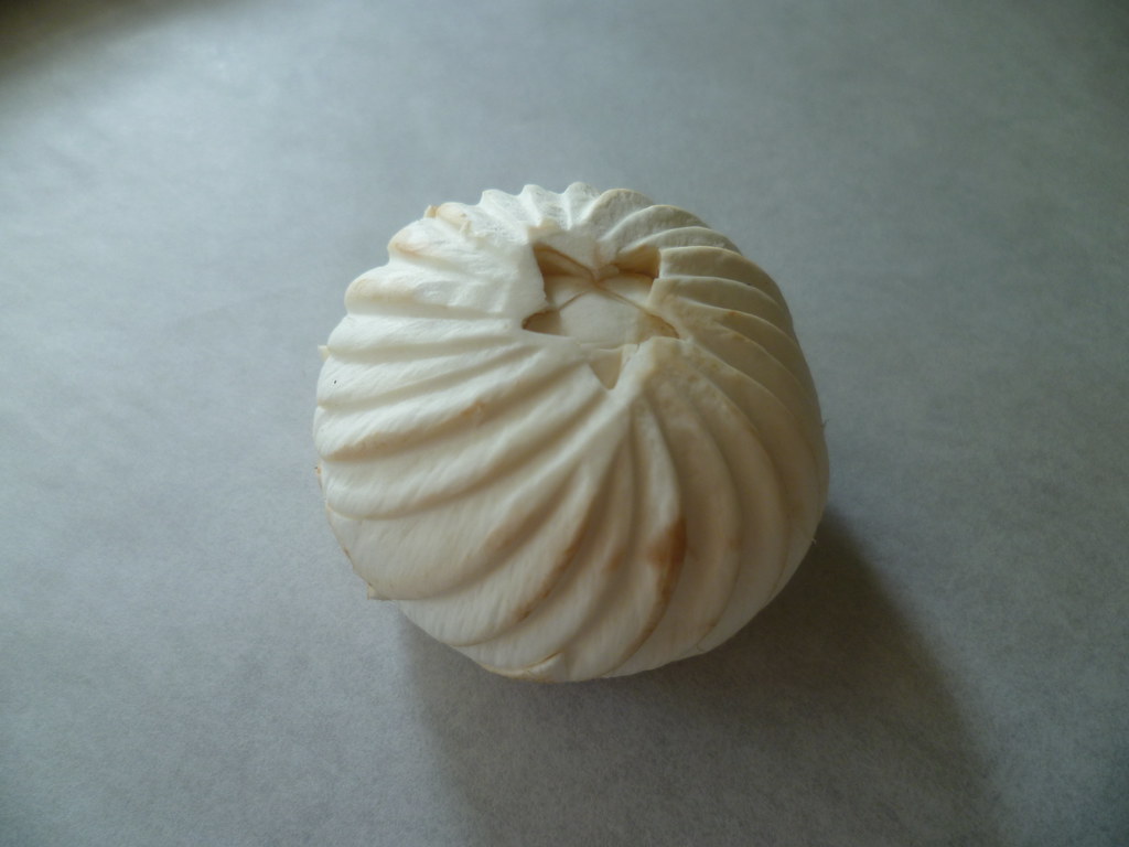 Eventbrite Does Fish And Co/ Chef's Fluted Mushroom | Flickr
