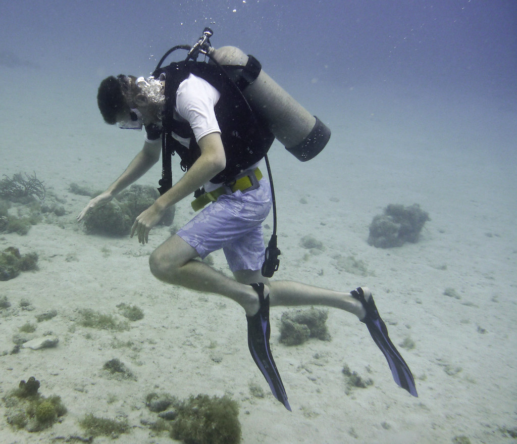 Diver at Grass Cay Jim's Photostream Flickr