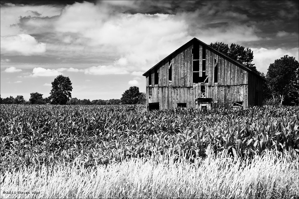 Elevation of Belgium, WI, USA Topographic Map Altitude Map