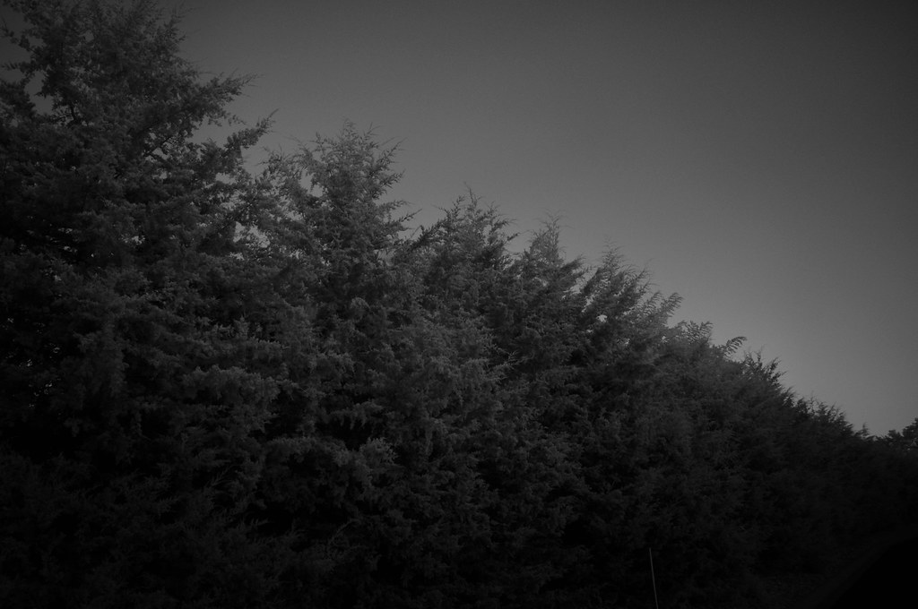 Willow River State Park IR John Prassa… Flickr