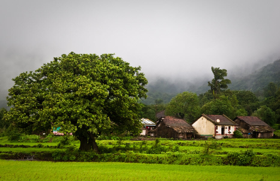 Celebrating Monsoon Village Amboli, Maharashtra, India Amity Flickr