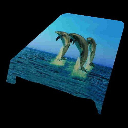 Dolphin Mink Blanket An elegant mink blanket that will kee… Flickr