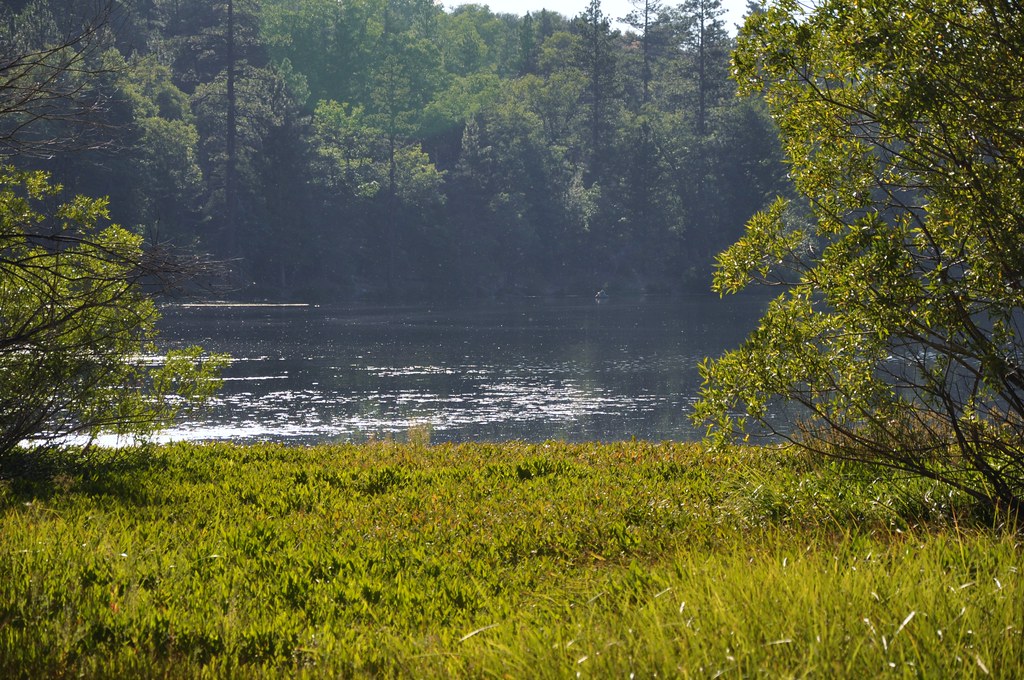 2011 08 21 Jenks Lake, Barton Flats, CA 057 Doug Carlson Flickr