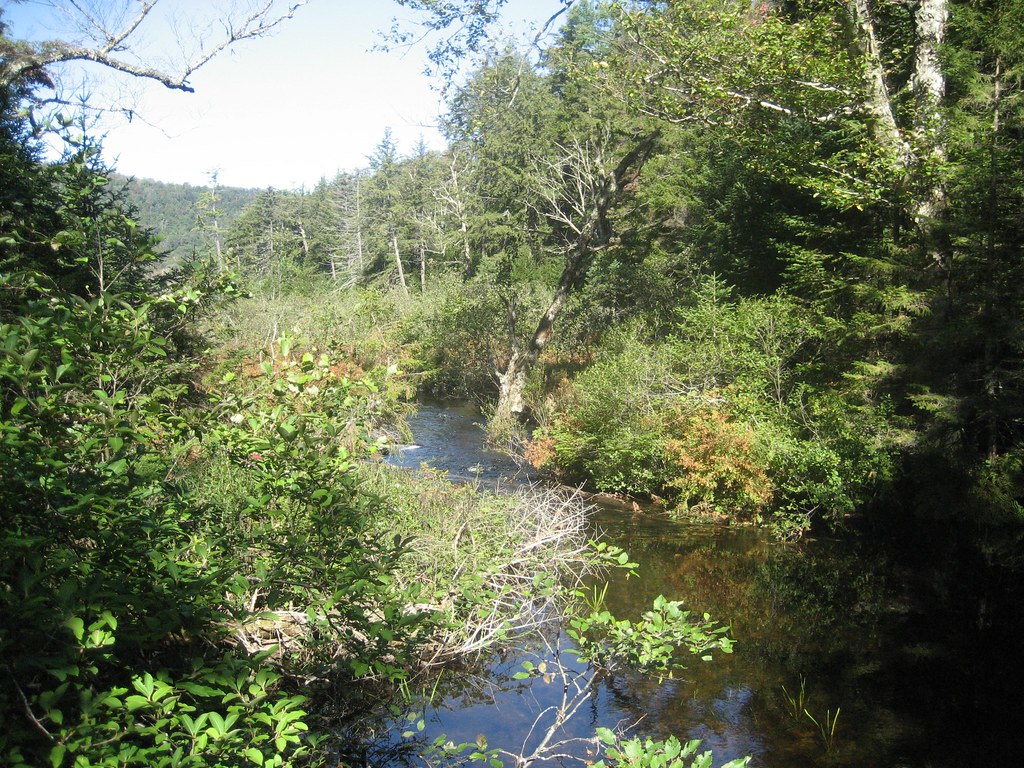 Moss Lake trail, Inlet, NY higginskurt Flickr