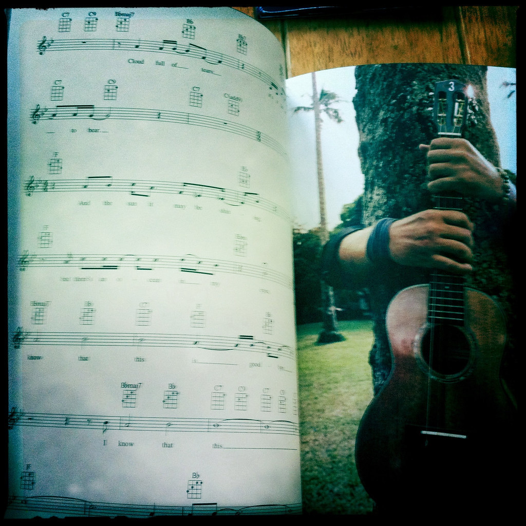 Eddie Vedder Ukulele Songs songbook Col Benson Flickr