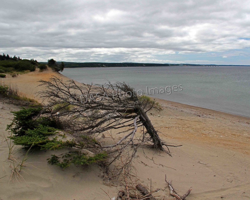 Black Bank Beach, St. Newfoundland 1531 Black Ba… Flickr
