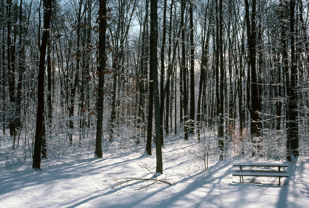 Snowfall + sunshine, Shenandoah Retreat, VA (1988) Flickr