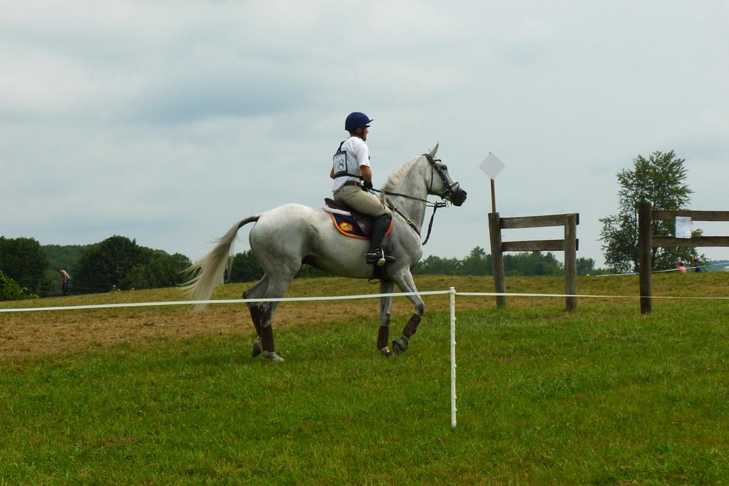 Millbrook Horse Trials 8/6/11 At the starting gate. Flickr